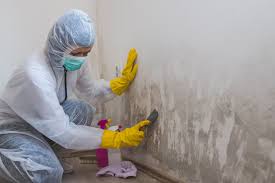 Forensic Mold Investigation in Cecilia, LA